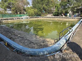 ขายที่ดิน ใน บางพูด, นนทบุรี, บางพูด
