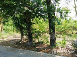  Land for sale in Nonthaburi, Bang Khu Wiang, Bang Kruai, Nonthaburi