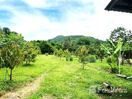  Земельный участок for sale in Таиланд, Bung Namtao, Lom Sak, Phetchabun, Таиланд