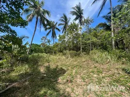  Grundstück zu verkaufen in Koh Samui, Surat Thani, Bo Phut