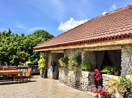 5 Bedrooms House for sale in Argao, Central Visayas 1908 Sqm Fully Furnished House For Sale in Argao 