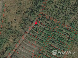  Land for sale in Chachoengsao, Tha Thong Lang, Bang Khla, Chachoengsao