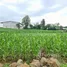  Land for sale in Kan Chu, Phetchabun, Kan Chu