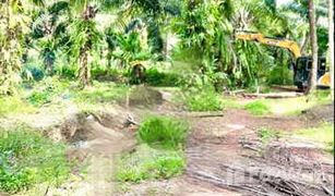 N/A Land for sale in Bang Bai Mai, Koh Samui 