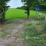  Land for sale in Suphan Buri, Hua Pho, Song Phi Nong, Suphan Buri