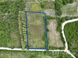  Terrain for sale in Ratchaburi, Suan Phueng, Ratchaburi