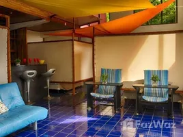 8 Bedroom House for sale at Manuel Antonio, Aguirre