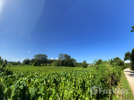  Land for sale in Laguna, Choeng Thale, Choeng Thale