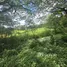  Land for sale in Don Kaeo, Chiang Mai, Don Kaeo, Saraphi, Chiang Mai