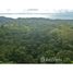  Land for sale in Puntarenas, Golfito, Puntarenas