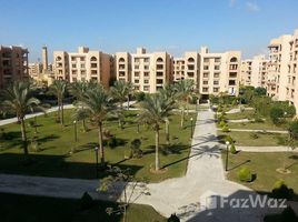 3 غرفة نوم شقة للبيع في Rehab City Fifth Phase, Al Rehab, مدينة القاهرة الجديدة, القاهرة