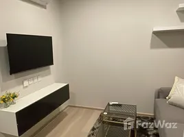 คอนโด 1 ห้องนอน ให้เช่า ในโครงการ แอสปาย อ่อนนุช สเตชั่น, พระโขนง