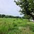  Land for sale at Palm Hills Golf Club and Residence, Cha-Am, Cha-Am, Phetchaburi