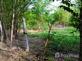  Terrain for sale in Tak, Nam Ruem, Mueang Tak, Tak