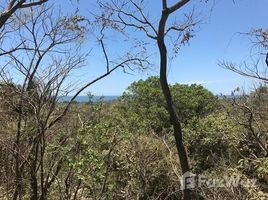 Guanacaste Nosara, Guanacaste, Address available on request N/A 土地 售 