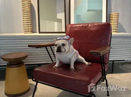 อพาร์ทเม้นท์ 1 ห้องนอน ให้เช่า ในโครงการ ชามา เย็นอากาศ แบงคอก, ช่องนนทรี, ยานนาวา, กรุงเทพมหานคร