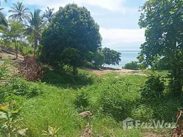  Land for sale in Koh Phangan Surat Thani, Koh Phangan, Koh Phangan, Surat Thani