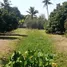  Land for sale in Tha Wang Tan, Chiang Mai, Tha Wang Tan