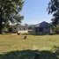 2 Bedroom House for sale in Huai Sak, Chiang Rai, Huai Sak, Mueang Chiang Rai, Chiang Rai