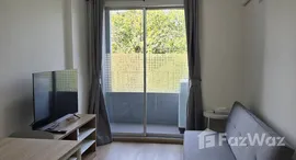 ยูนิตมือสองและให้เช่า