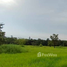 在乌汶出售的 土地, Don Chik, Phibun Mangsahan, 乌汶