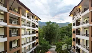100 Bedrooms Whole Building for sale in Suthep, Chiang Mai 
