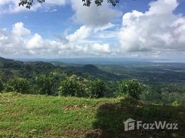  Terrain for sale in Puntarenas, Osa, Puntarenas