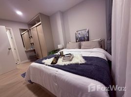 อพาร์ทเม้นท์ 1 ห้องนอน ให้เช่า ในโครงการ เดอะ คิวบ์ อะเมซ, ศรีสุนทร, ถลาง, ภูเก็ต, ไทย