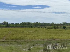  Land for sale in Si Songkhram, Nakhon Phanom, Tha Bo Songkhram, Si Songkhram