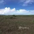  Land for sale in Chiriqui, Guarumal, Alanje, Chiriqui