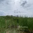  Land for sale in Bang Muang, Nonthaburi, Bang Muang, Bang Yai, Nonthaburi, Thailand