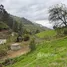  Land for sale in Bulan Jose Victor Izquierdo, Azuay, Bulan Jose Victor Izquierdo, Paute, Azuay