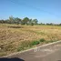 ブリラム で売却中 土地区画, Chorakhe Mak, プラホンチャイ, ブリラム