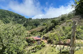  bedroom Land for sale at in Cartago, Costa Rica
