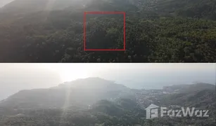 N/A Land for sale in Kathu, Phuket 