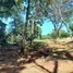 在FazWaz.cn出售的 土地, Turrubares, San Jose, 哥斯达黎加