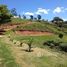  Terreno (Parcela) en venta en Brasil, Fernando De Noronha, Fernando De Noronha, Rio Grande do Norte, Brasil