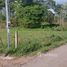  Terreno (Parcela) en venta en Limón, Pococi, Limón