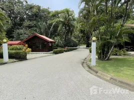 在El Coco出售的 土地, Carrillo