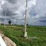  Land for sale in Nakhon Ratchasima, Kritsana, Sikhio, Nakhon Ratchasima
