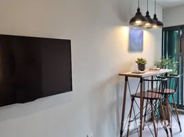 1 Bedroom Condo for rent at Aspire Sukhumvit-Rama 4, Phra Khanong, Khlong Toei, Bangkok, Thailand