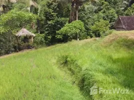  Terrain for sale in Gianyar, Bali, Ubud, Gianyar