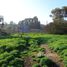  Land for sale at Renaca, Vina Del Mar, Valparaiso