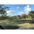  Land for sale in San Pablo, Heredia, San Pablo, Heredia, Costa Rica
