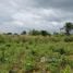  Land for sale in Akwapim South Eastern, Akwapim South, Eastern, Ghana