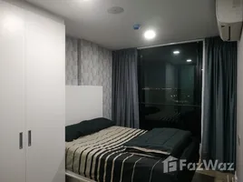 คอนโด 1 ห้องนอน ให้เช่า ในโครงการ แอทโมซ แจ้งวัฒนะ, คลองเกลือ, ปากเกร็ด, นนทบุรี, ไทย