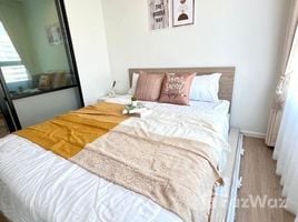 1 спален Квартира в аренду в iCondo Activ Phattanakan, Suan Luang, Суан Луанг