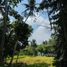  Land for sale in Ubud, Gianyar, Ubud