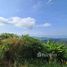  Land for sale in Lipa Noi, Koh Samui, Lipa Noi