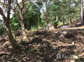  Terreno (Parcela) en venta en Patong, Kathu, Patong